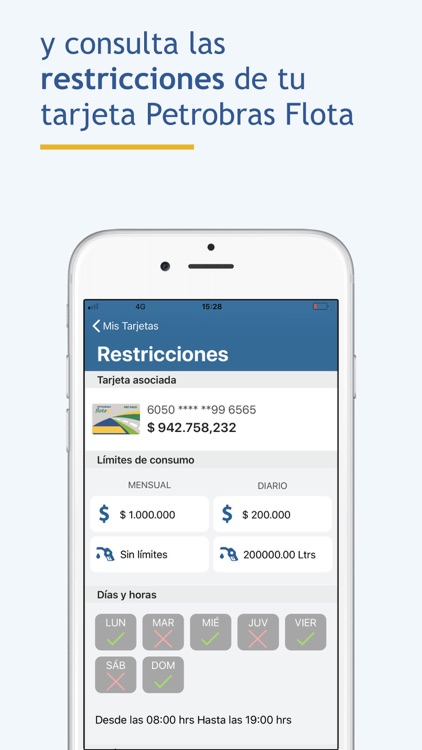 Tarjeta Flota screenshot-3