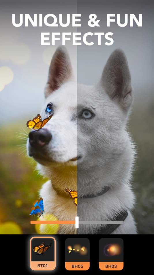 #6. Motionleap: 3D Photo Animator (iOS) Ved: Lightricks Ltd.