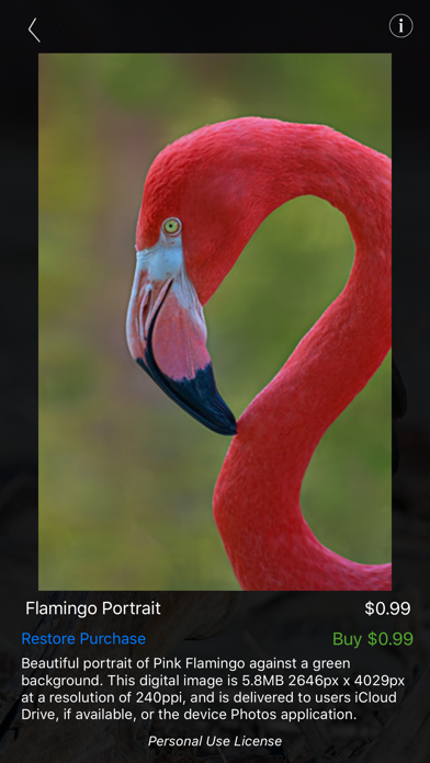 Nature and Wildlife Pictures Screenshot