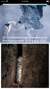 Bird Song/Photo Identification screenshot