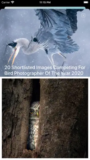 Bird Song/Photo Identification iPhone-skjermbilde 8