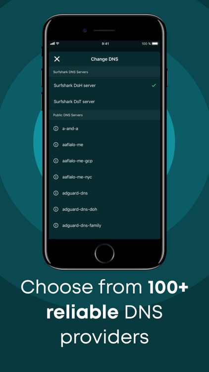 DNS Changer - Trust DNS