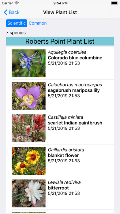 Idaho Wildflower Search Screenshot