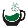 Green Coffee Bakery