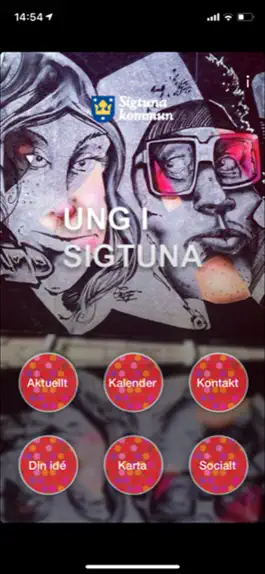 Game screenshot Ung i Sigtuna mod apk