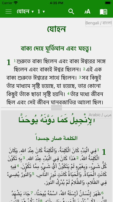Bible in 14 world languages Screenshot