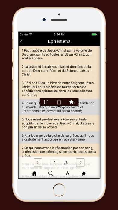 Screenshot #3 pour La Sainte Bible - français