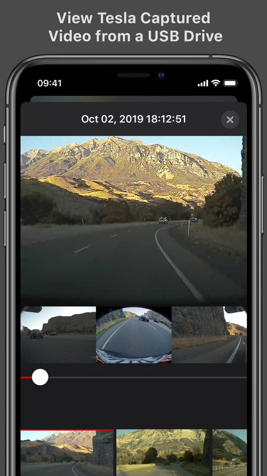 #1. Cam Viewer for Tesla (iOS) 由: cgBits