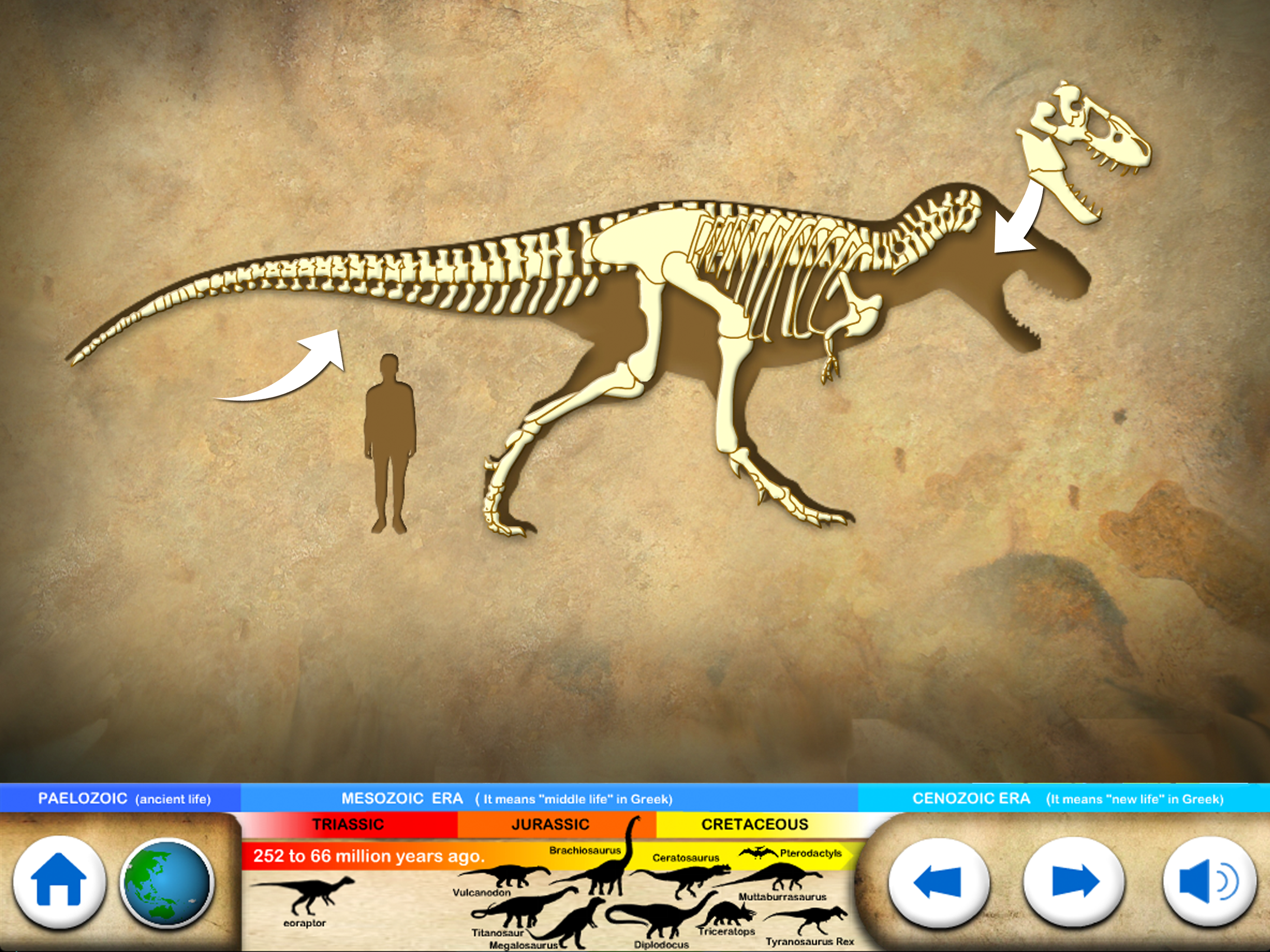 Dinosaur & Fossils for kids screenshot 8