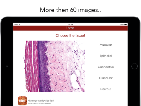 Histology Worldwide Test 3.0 screenshot 2