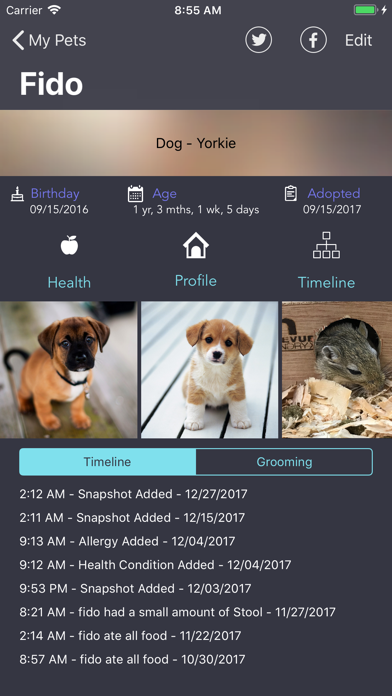 Pet Portal Screenshot
