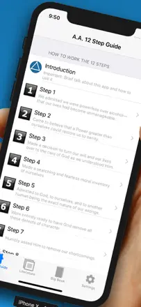 12 Steps Guide: Screenshot 2 von 5