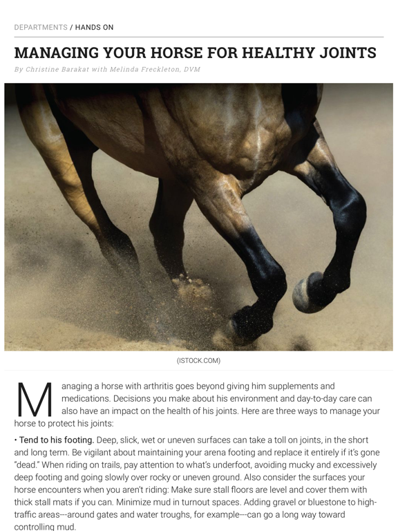 Screenshot #6 pour EQUUS Magazine