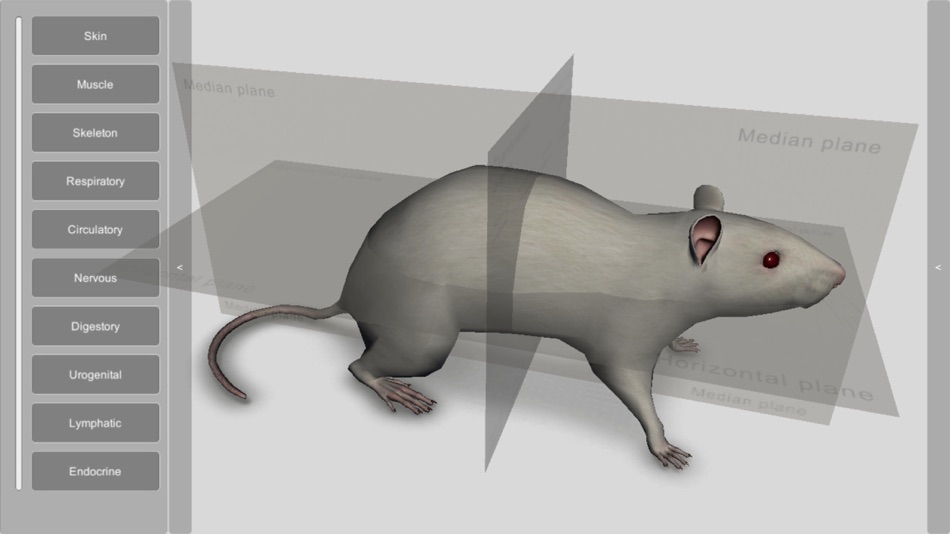 3D Rat Anatomy - 2.03 - (iOS)