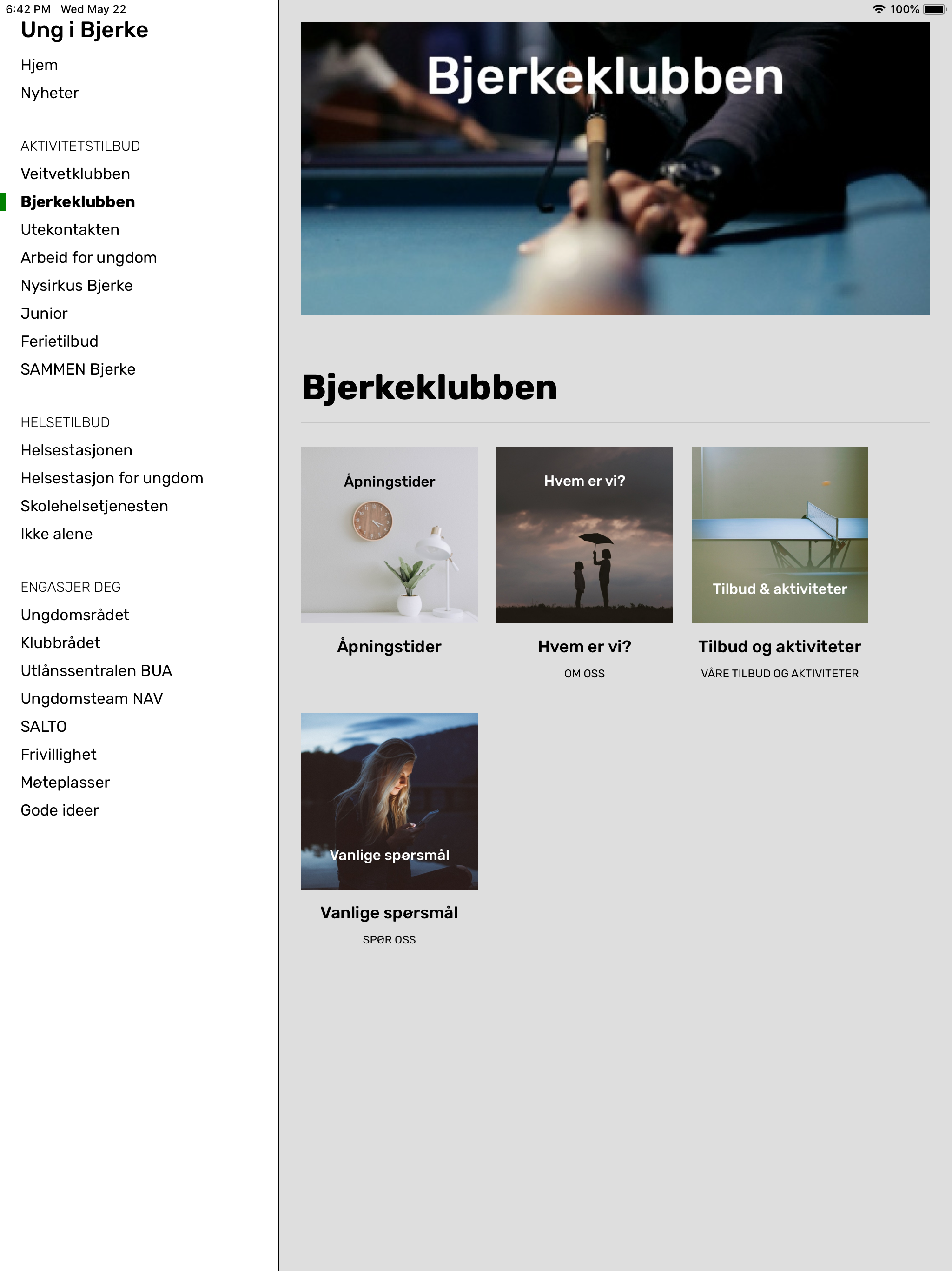 Ung i Bjerke
