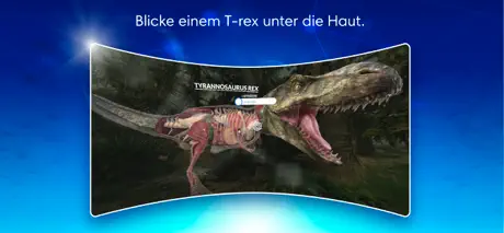DK Virtual Reality