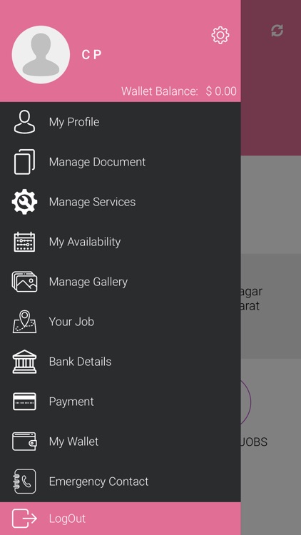 CubeBabySitter Provider