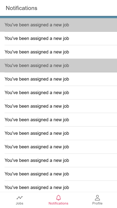 DeliveryBizConnect Driver App Screenshot