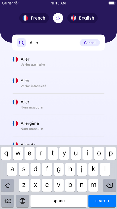 French~English Dictionary Screenshot