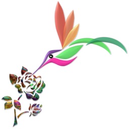 Dream Wallpapers: HD Wallpaper