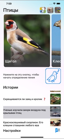 Пение птиц: определение голоса iPhone screenshot 4