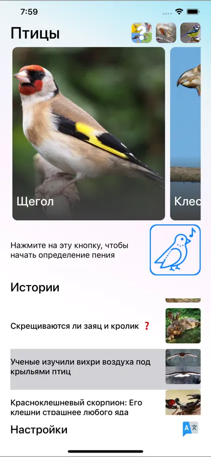 Screenshot 4 di 6 di Пение птиц: определение голоса
