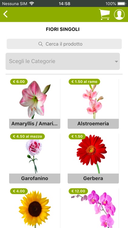 Garden Piccolo Giardino