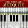 Mezquite Piano Accordion App Feedback