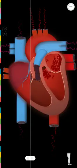 Game screenshot Человеческое тело от LITE hack