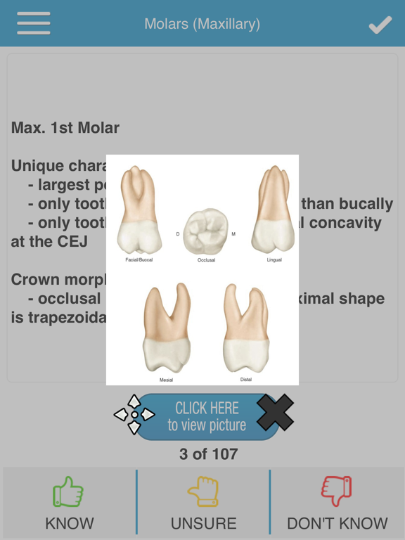 Screenshot #5 pour Dental Anatomy Cram Cards