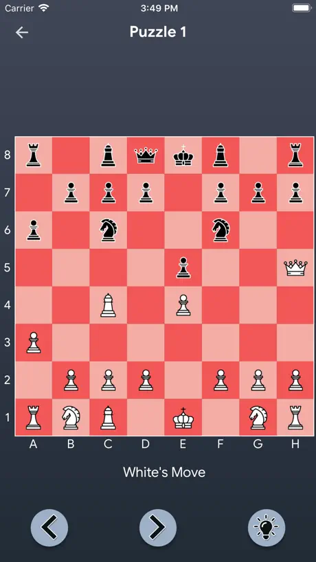 Agile Chess Puzzle