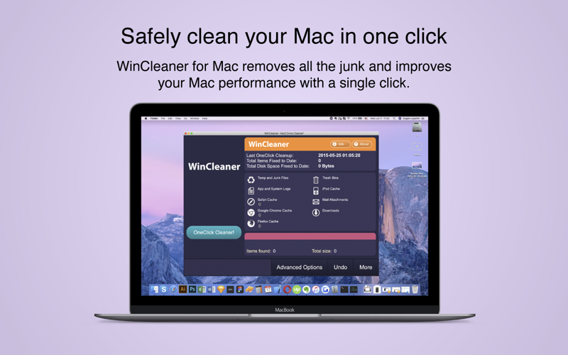 WinCleaner Hard Drive Cleaner thumbnail 1