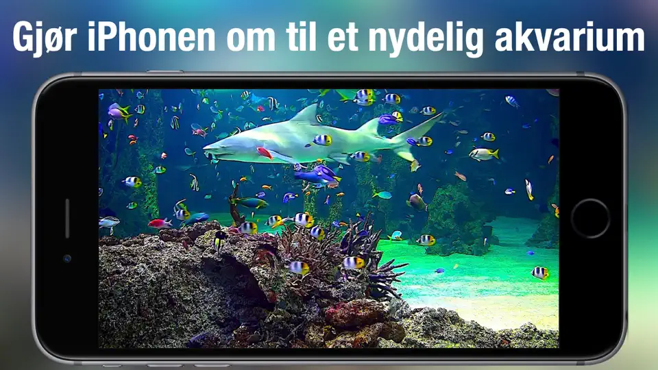 Akvarium Live HD iPhone-skjermbilde 1