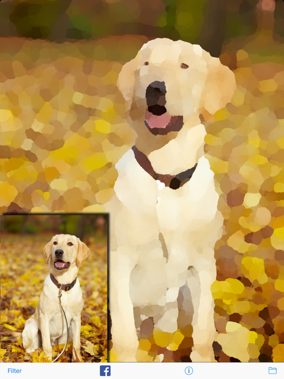 Oil Shine Pro - paint effect iPad screenshot 5 - Photo & Video app