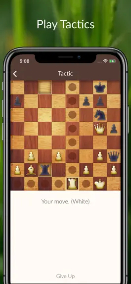 Game screenshot Chess Tactics and Lessons mod apk