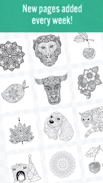 Tincture - Color by Number screenshot-5