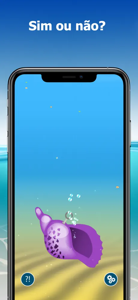 The Conch Shell: Magic answers