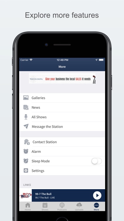 99-7 The Bull screenshot-5