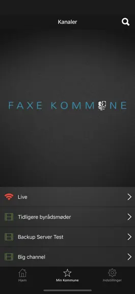 Game screenshot Kommune-TV apk