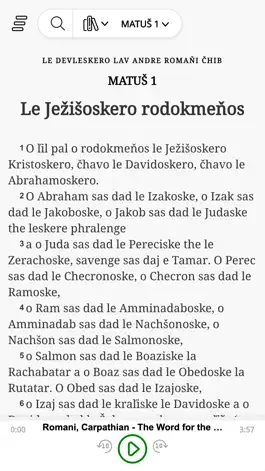 Game screenshot Romani Bibles apk