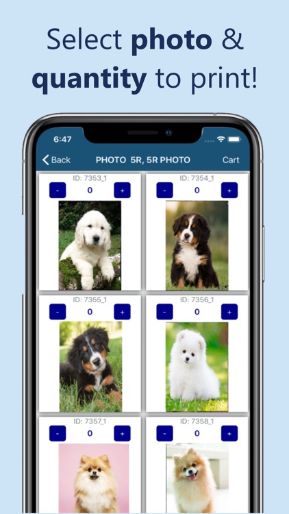 The One Photo screenshot-4