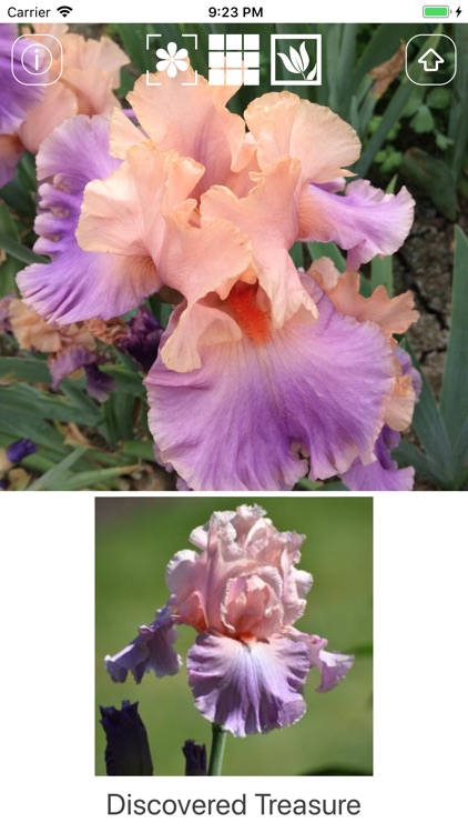 Instant Iris screenshot-4