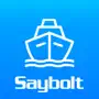 Saybolt Cargo Check