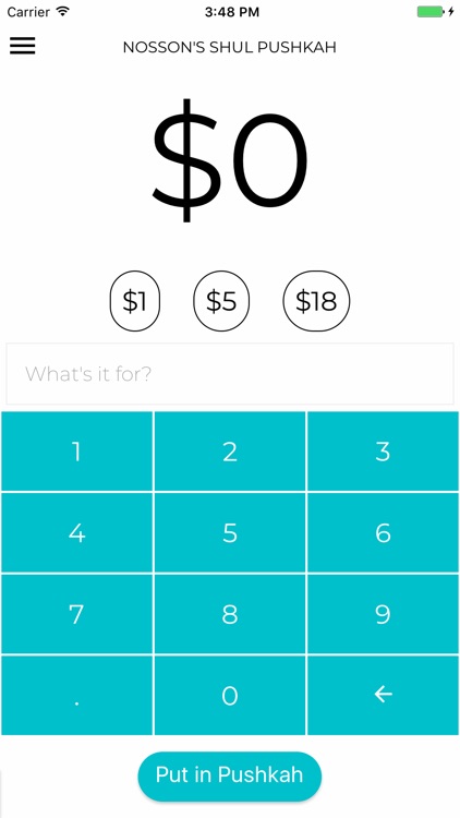 Nosson's Shul Pushkah