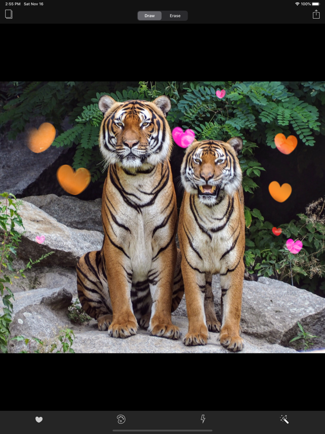 Real Bokeh Screenshot