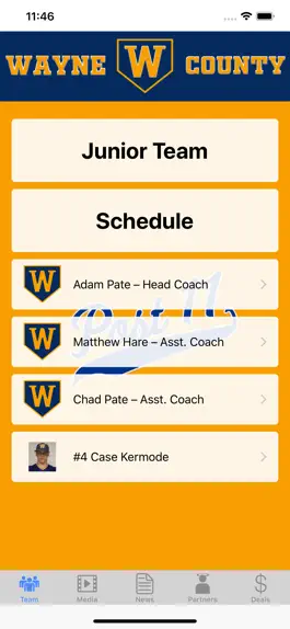 Game screenshot Wayne Post 11 Baseball hack