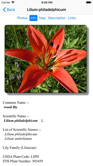 Wyoming Wildflowers screenshot 3