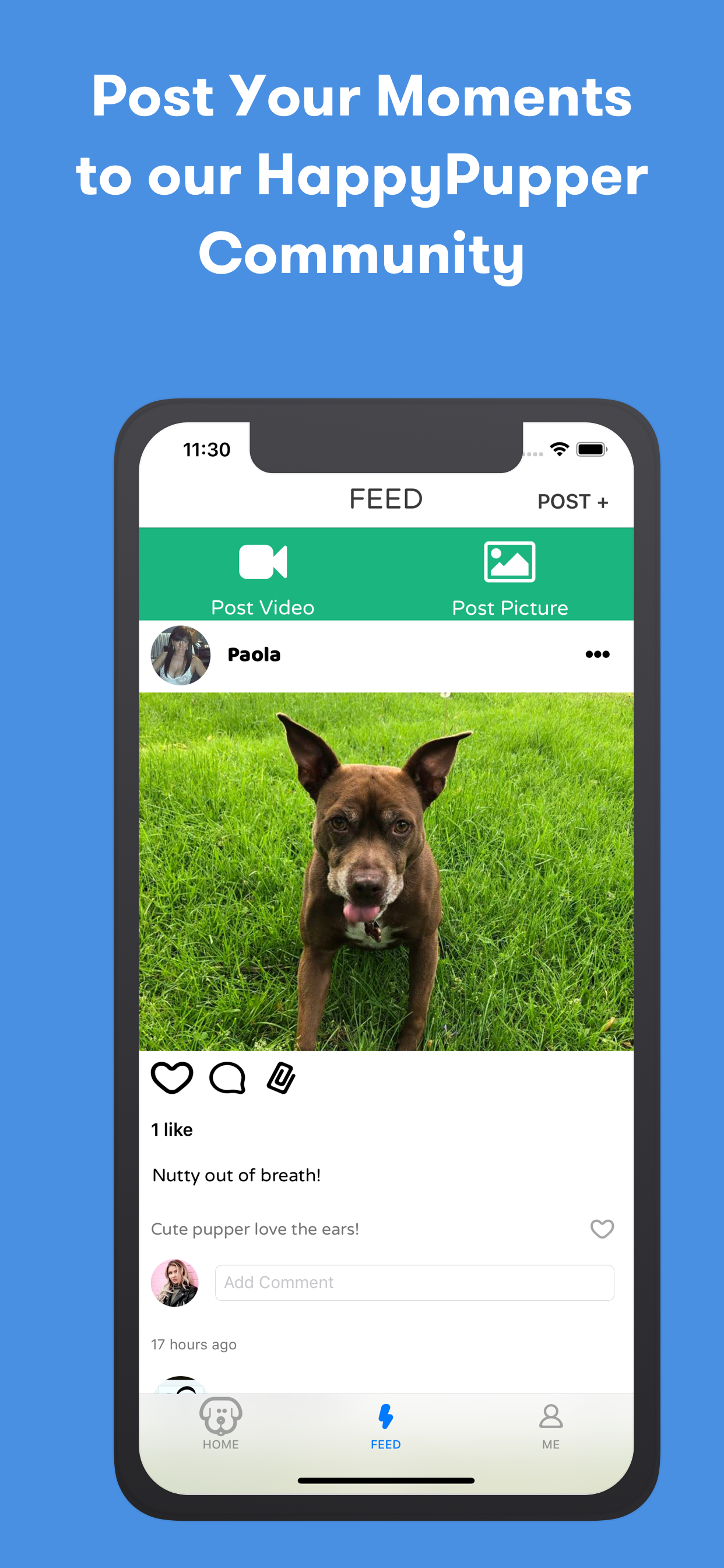 HappyPupper Dog Walker Tracker screenshot 7