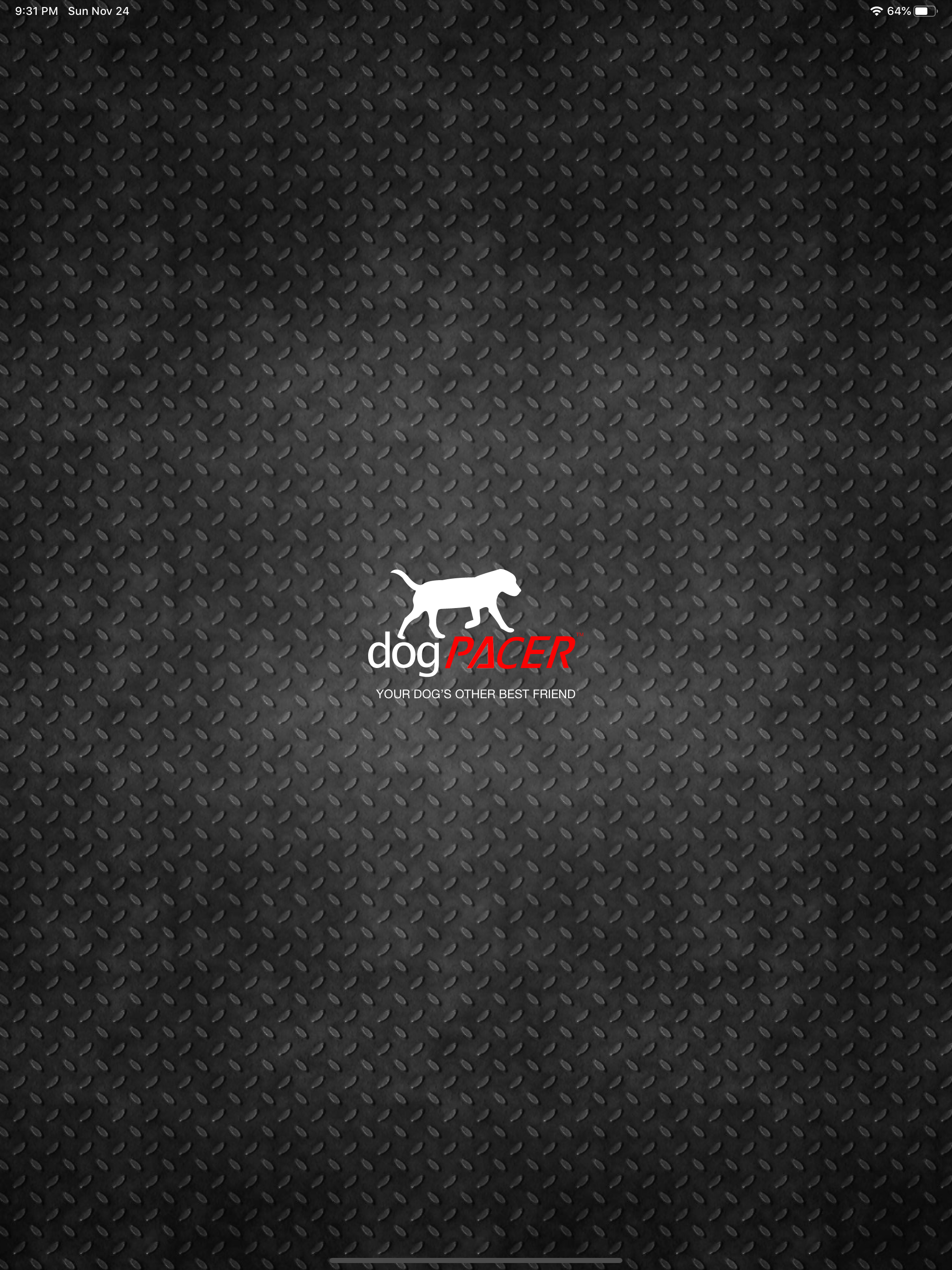 Dog Pacer