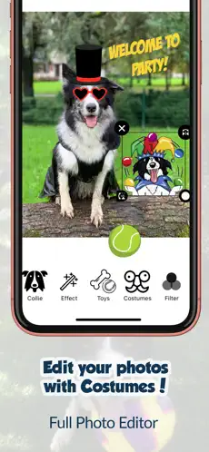Captura 5 Collie Moji - Border emojis iphone